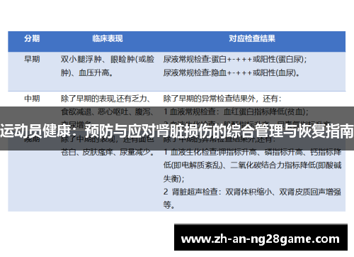 运动员健康:预防与应对肾脏损伤的综合管理与恢复指南 运动员健康:预防与应对肾脏损伤的综合管理与恢复指南