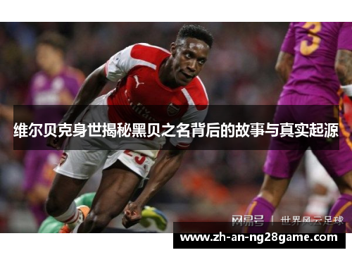 维尔贝克身世揭秘黑贝之名背后的故事与真实起源