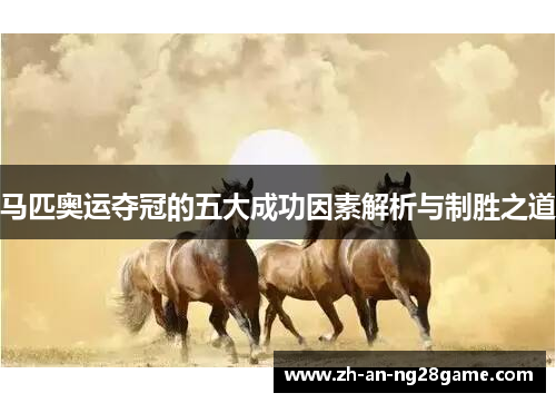 马匹奥运夺冠的五大成功因素解析与制胜之道 马匹奥运夺冠的五大成功因素解析与制胜之道