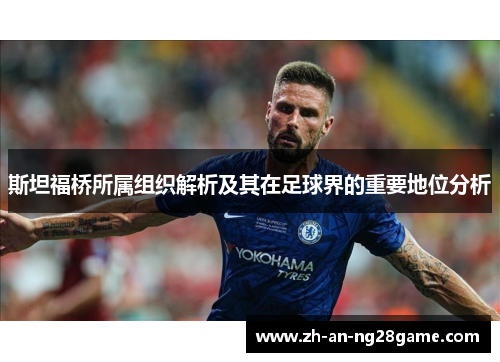 斯坦福桥所属组织解析及其在足球界的重要地位分析